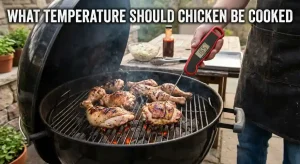 meat thermometer