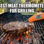 meat thermometer